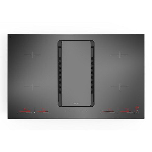 Kerbl Fonda inductiekookplaat+afzuiging