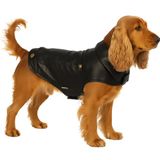 Jas Flamingo Jas Sancho Zwart 45cm Hond Kostuum
