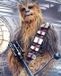Your Decoration B.V. Star Wars The Last Jedi Chewbacca Bowcaster Affiche 40x50cm