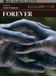 Sonic Rendezvous Forever / DVD / 2006
