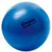 Togu Gymnastiekbal Powerball ABS met DVD (barstbestendig)