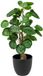 Unyqoos Plante artificielle décorative et sans entretien de 45 cm pour intérieur et extérieur