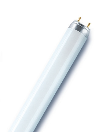 Osram Biolux T8 - Fluorescente lamp - 4050300270807