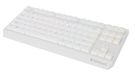 Genesis Thor 230 TKL White Wireless Outemu Red Gaming Keyboard USB + RF Wireless + Bluetooth QWERTY US English