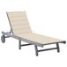 VidaXL Fauteuil de jardin rembourré en acacia crème, gris