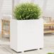 Maison Exclusive - Pot de fleurs d'extérieur, blanc, 70 x 40 x 72,5 cm, en bois de pin massif