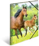 HERMA mappen A3 paardenset, 3-delig, kinderhoekmappen van kunststof met dierenmotief, elastische band, binnenkleppen en binnenprint voor jongens en meisjes