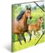 HERMA mappen A3 paardenset, 3-delig, kinderhoekmappen van kunststof met dierenmotief, elastische band, binnenkleppen en binnenprint voor jongens en meisjes