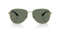 GAFAS Michael Kors Biarritz MK1160 10143H 59