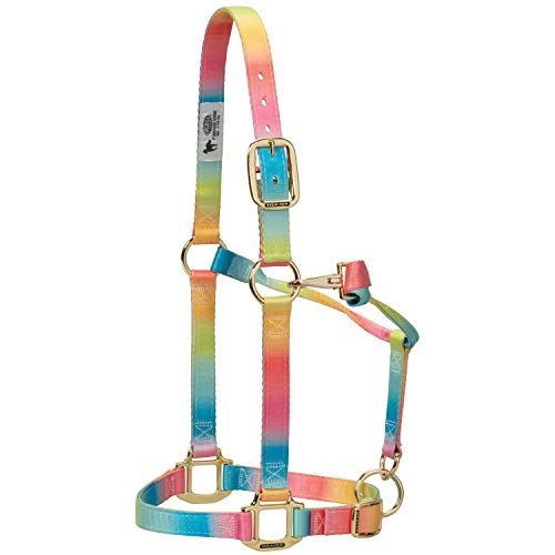 Weaver Leather Polyester Rainbow Adjustable Chin and Throat Snap Halter, 1" Small Horse