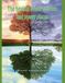 The healing power of trees and power places: "Nature is the best artist, and trees are her masterpieces."