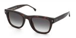 SUNGLASSES Lozza Sunglasses - Shiny Havana Cellulose Acetate