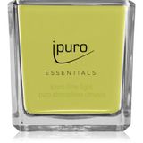 ípuro Essentials