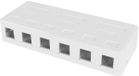 ACT Keystone FA6032 Opbouwdoos voor 6 keystone-modules