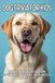Labrador Retriever Trivia for Kids: 100 Fun Facts & Questions About the World’s Most Popular Dog Breed