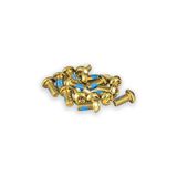 Funn Funn Remschijfbouten – 15 stuks Torx T25 M5 x 10 mm stalen schroeven voor 6-bouts fietsrotors, stalen rotorbouten voor MTB en racefiets (Goud)