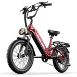 Cleytro XC20 elektrische fiets voor volwassenen