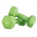 JOYFURNIS Lot de 2 haltères en néoprène 2 x 2 kg Vert