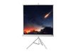 Celexon Stativleinwand Economy 158 x 158 cm - White Edition