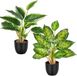 Unyqoos® Set van twee levensechte kunstplanten voor stijlvolle interieurdecoratie