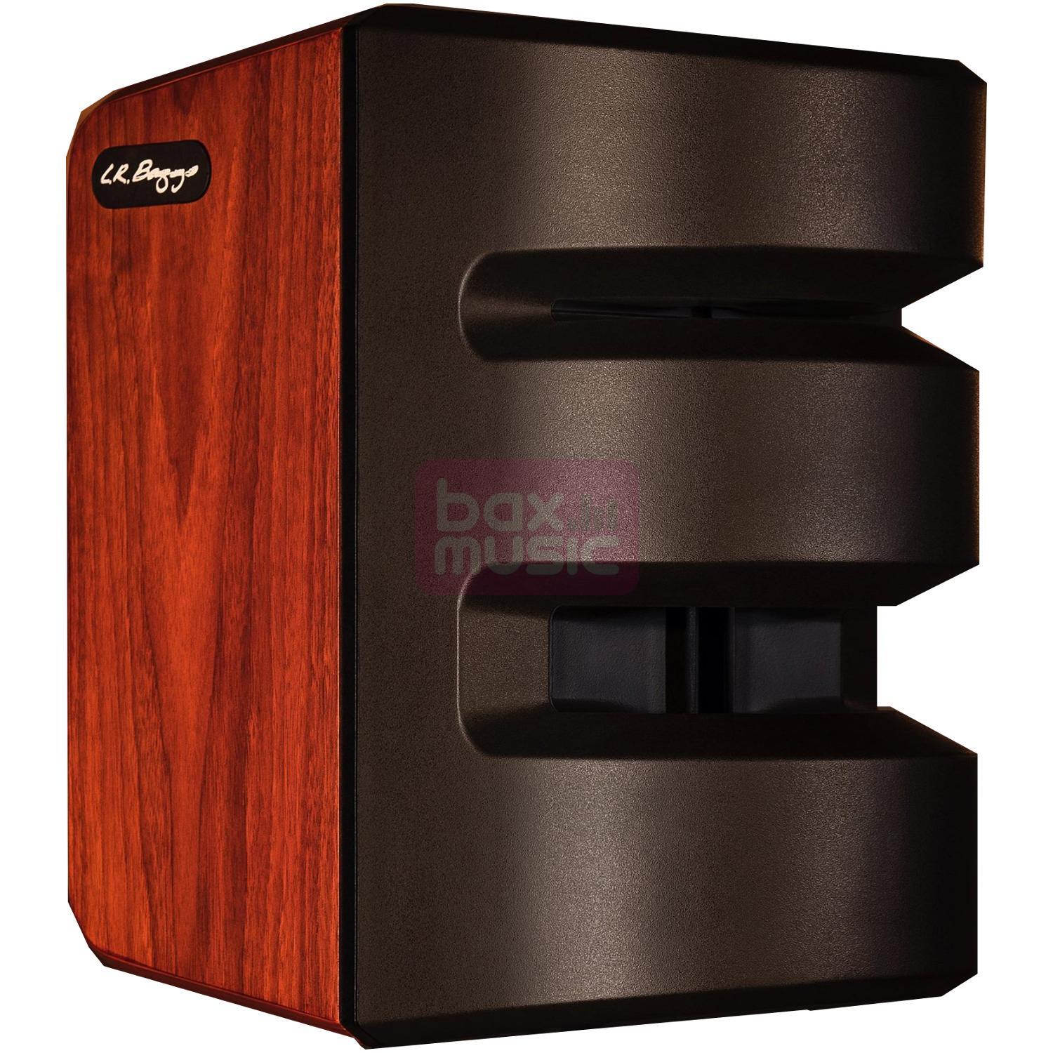 LR Baggs Synapse Personal PA System