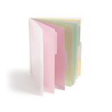 Smead Poly Project Organizer, 6 Tabs, 12 zakken, Letterformaat, Pastel (89208) (Pack van 1)