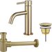 Fortifura Calvi Slim Wastafelkraanset - lage wastafelkraan - always open plug - verlaagde design - sifon - PVD - geborsteld messing (goud)