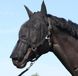 Harry's Horse Vliegenmasker Halster met oren Shetland