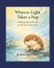 When Remi's Journey: Small Acts, Big Impact- When the Light Takes a Nap