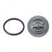 Blue Print ADT39212 Thermostat, Liquide De Refroidissement Lexus 90916-03065