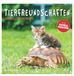 Tierfreundschaften Neumann Verlage GmbH & Co KG Tierfreundschaften 2027