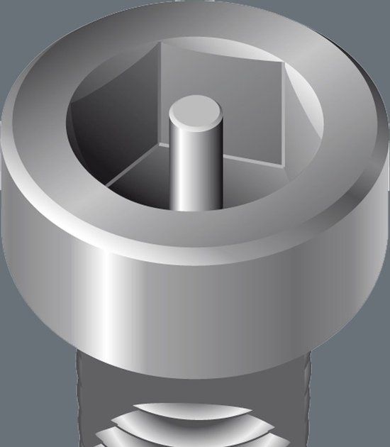 Wera 1/4 hex-plus inbus bit met boring - 2.5 x 89mm