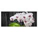 Homemania Muurfoto, bloemen, natuur, voor woonkamer, slaapkamer, meerkleurig, 70 x 3 x 100 cm, HM20KNV70 x 100 – 11, polyester, hout