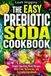 THE EASY PREBIOTIC SODA COOKBOOK