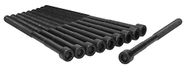 Cylinder AJUSA Cylinder head bolt set