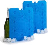 Merkloos / Sans marque Arte Regal Koelelementen plat - Set van 4x stuks - 26 x 2 x 32 cm - blauw - 800 gram