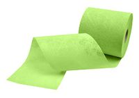 Dekoband Sky Lab Dekoband tnt textiellook (125 mm x 100 m), zeegroen