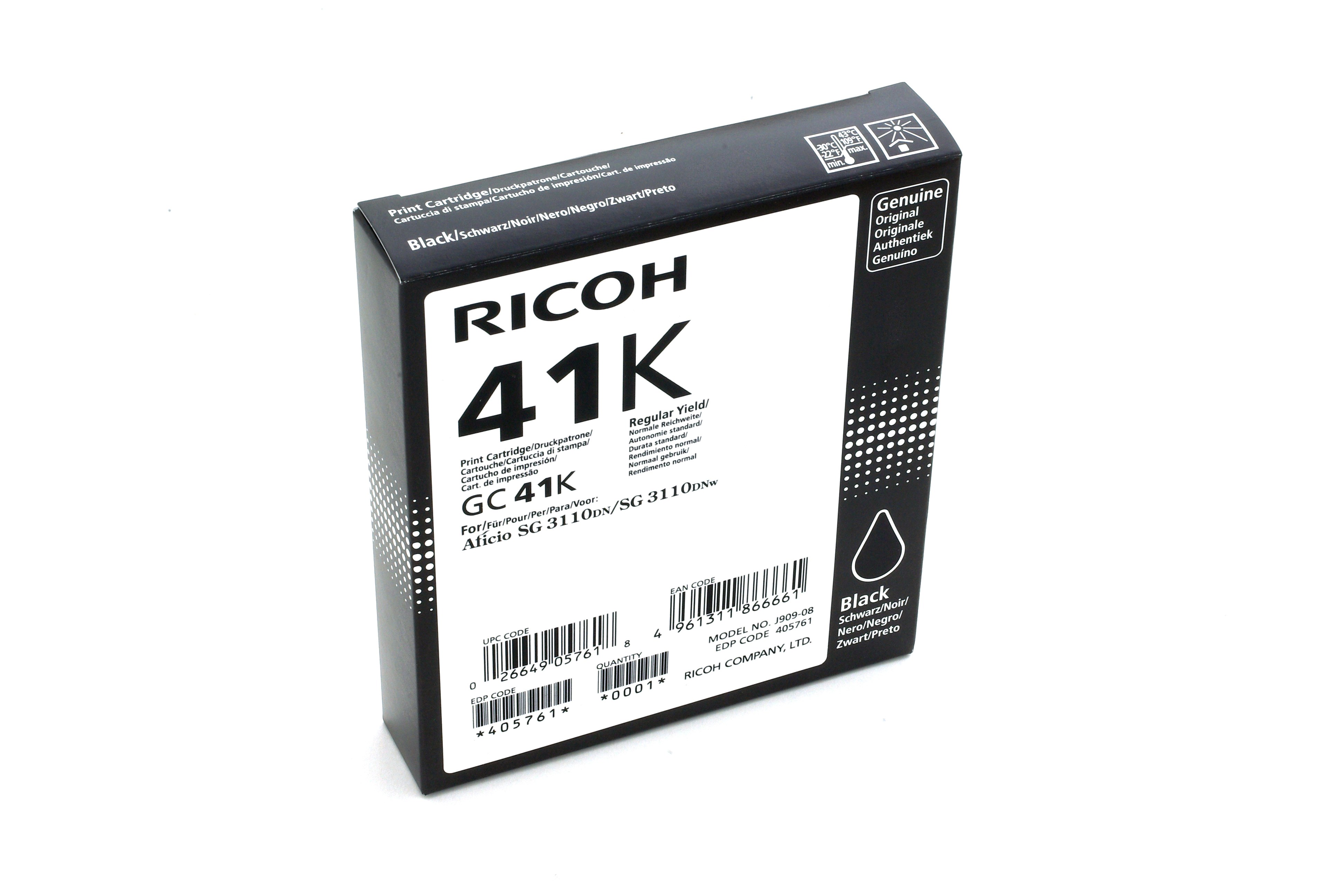 Ricoh 405761 single pack / foto zwart
