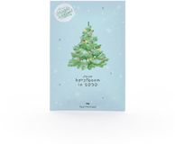 Die Stadtgärtner Sparrenzaad Kerstboom 2030