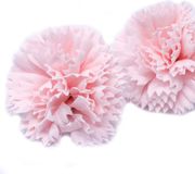 Ancient Wisdom Zeep Bloemen - Anjers - Roze - 50 stuks - 7x5cm