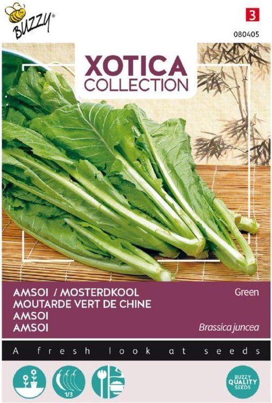 Buzzy Xotica Amsoi Mung Choi