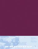 Clairefontaine 496016C Gecacheerd Pastelmat Papier - 5 Gecacheerde Vellen Speciaal Karton voor Droge Pastels - 50x70 cm 360g 1,8 mm - Wijnrood