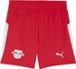 Puma Hose Rbl 779895