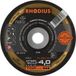 Rhodius 207885 FS1 FUSION Disque à lamelles Inox, Acier 10 pc.