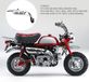 Z50 Mini Motorfiets Uitlaatdemper met demperhouder - Silber