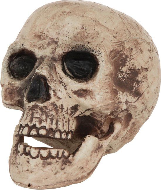 Bristol Novelty Skull Decoration (Brown)