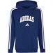 Adidas Junior Hoodie Codes Collegiate Graphic