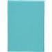 Bassetti Hoeslaken 558 turquoise katoen/elastaan, afmetingen: 140cm x 200cm, 160cm x 220cm, 9239367