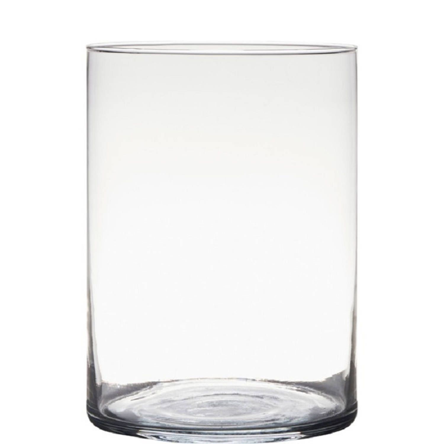 Hakbijl glass Cylinder vaas - 25 x 18 cm - Transparant