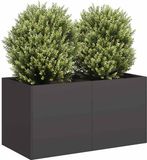 vidaXL Plantenbak 80x40x40 cm koudgewalst staal zwart